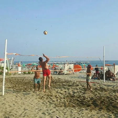 Moonlight アランヤ