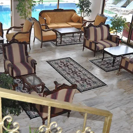 Moonlight 阿拉尼亚