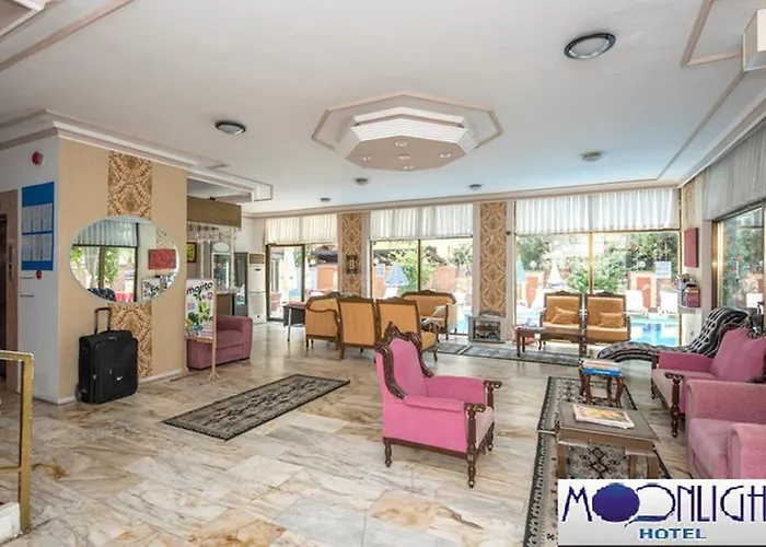 Moonlight 3*